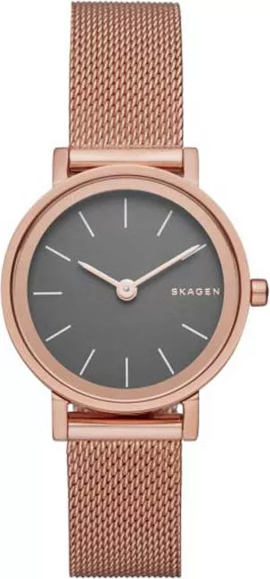Dámské hodinky Skagen Classic SKW2470 SKW2470