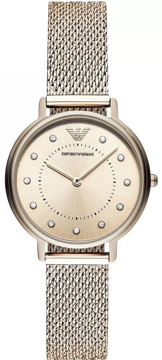 Dámské hodinky Emporio Armani AR11129 AR11129 AR11129