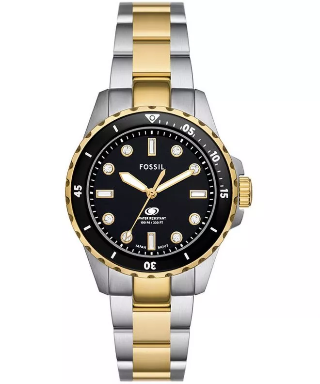 Hodinky Fossil Blue Dive ES5349