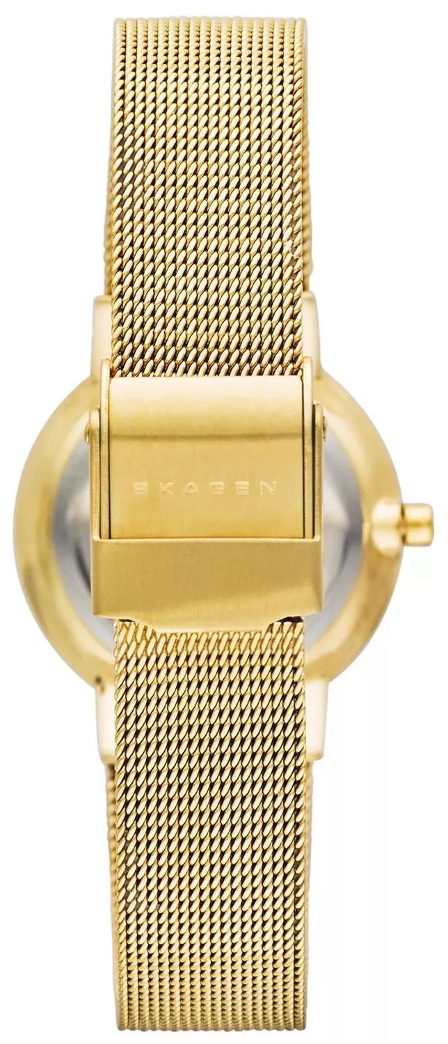 Dámské hodinky Skagen Classic SKW2196 SKW2196