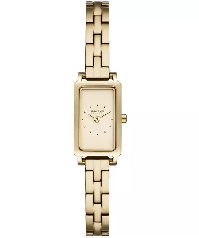 Hodinky Skagen Hagen Micro SKW3154