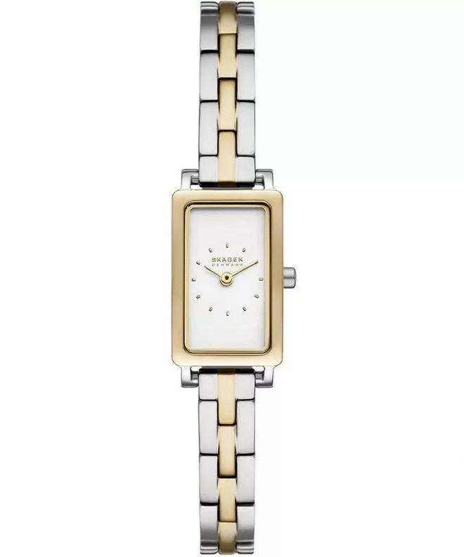 Hodinky Skagen Hagen Micro SKW3155