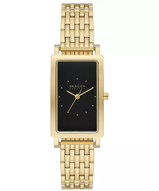 Hodinky Skagen Hagen SKW3113