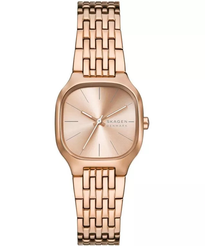 Hodinky Skagen Mellem Lille SKW3166
