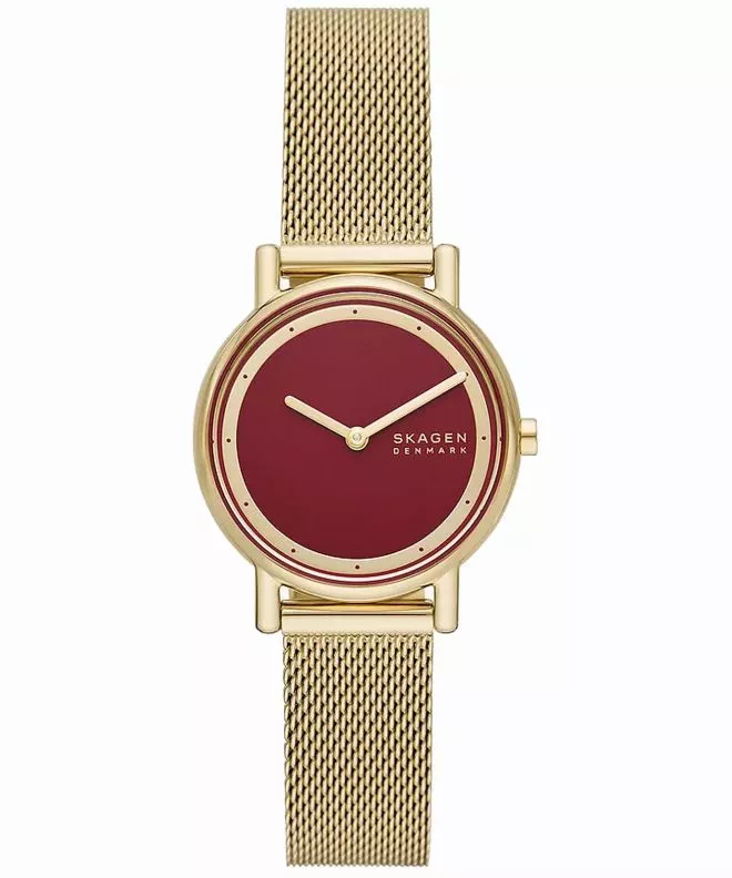 Hodinky Skagen Signatur Lille SKW3117