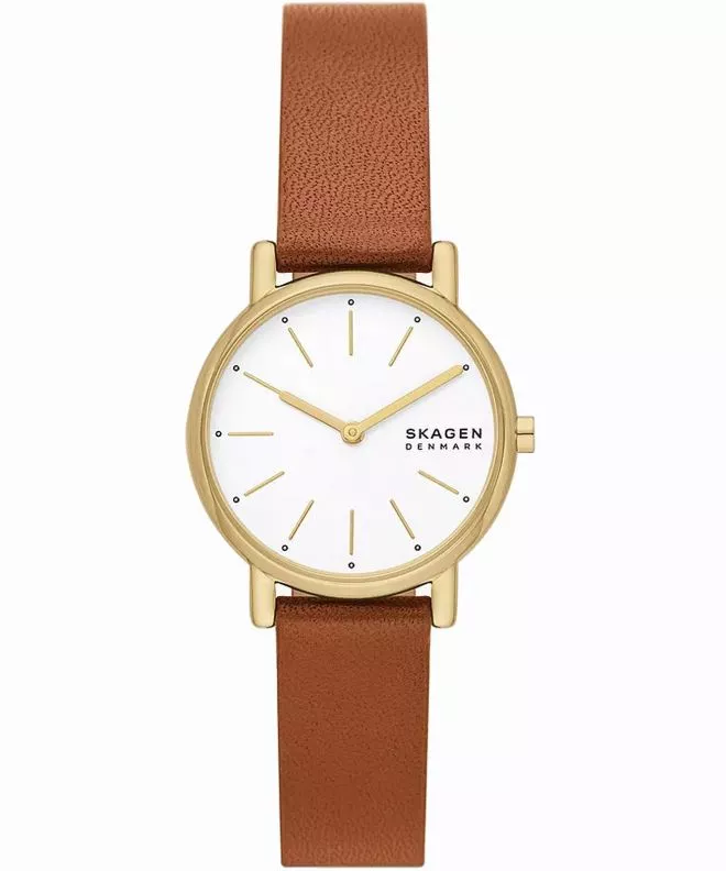 Hodinky Skagen Signatur Lille SKW3121