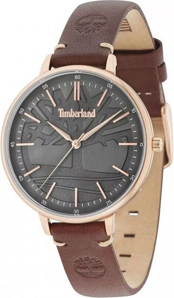 Pánské hodinky Timberland Falmouth TBL.15261MSR-61 TBL.15261MSR-61