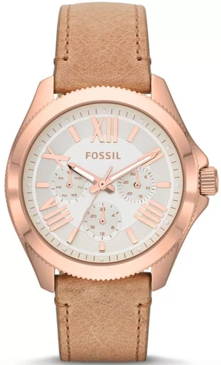 Dámské hodinky Fossil Cecile AM4532 AM4532