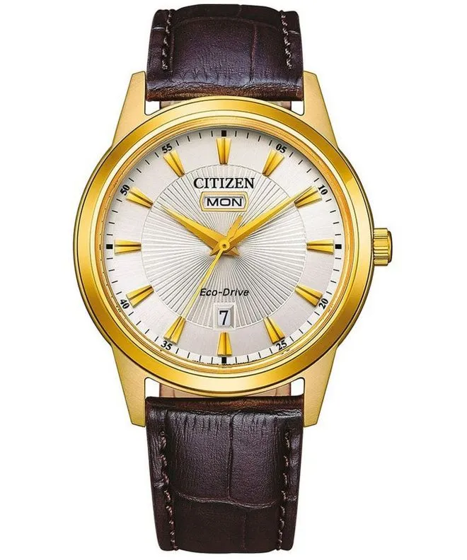 Hodinky pánské Citizen Leather Eco-Drive AW0102-13AC (AW0102-13AE)