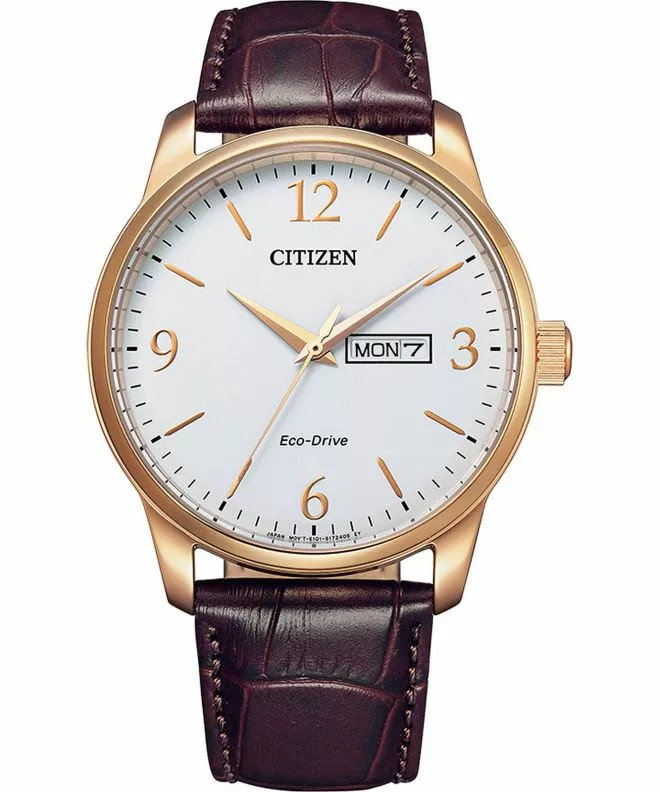 Hodinky pánské Citizen Leather Eco-Drive BM8553-16AC (BM8553-16AE)