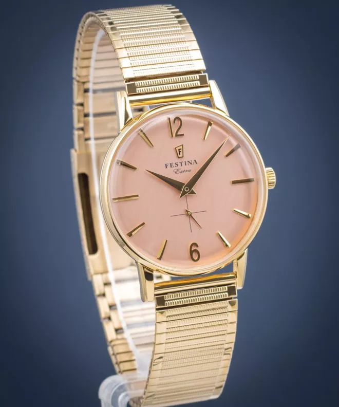 Pánské hodinky Festina Extra F20251-3 F20251-3