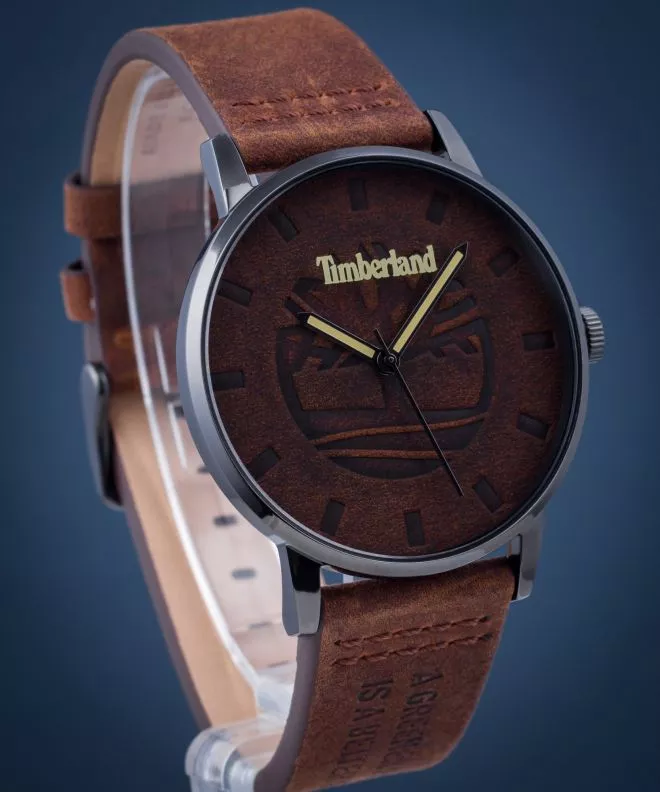 Pánské hodinky Timberland Raycroft TBL.TDWJA2000803 TBL.TDWJA2000803