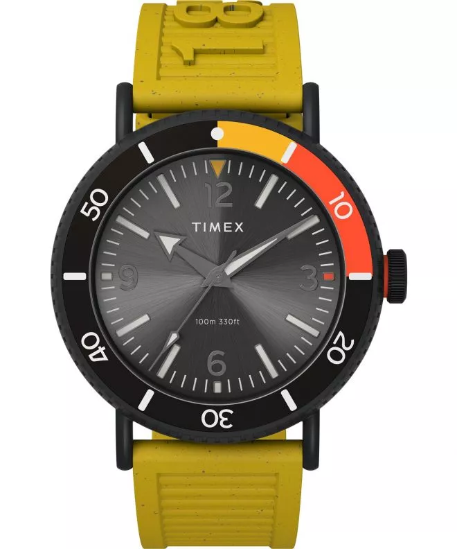 Hodinky Timex Standard Diver TW2V71600