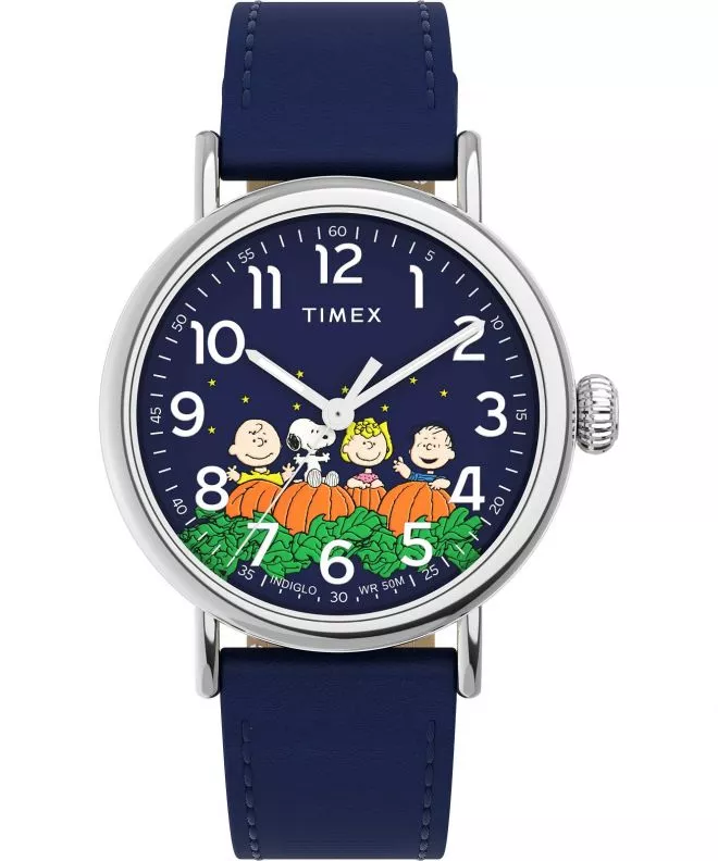 Hodinky Timex Standard x TW2W72700