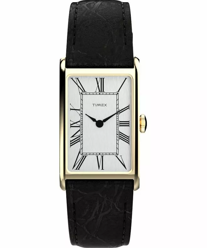 Hodinky pánské Timex Lab Lab Reissue TW2Y56200