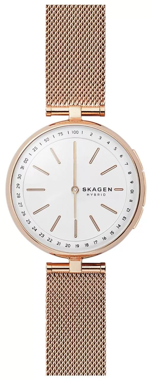 Hodinky Skagen Connected SKT1404 SKT1404