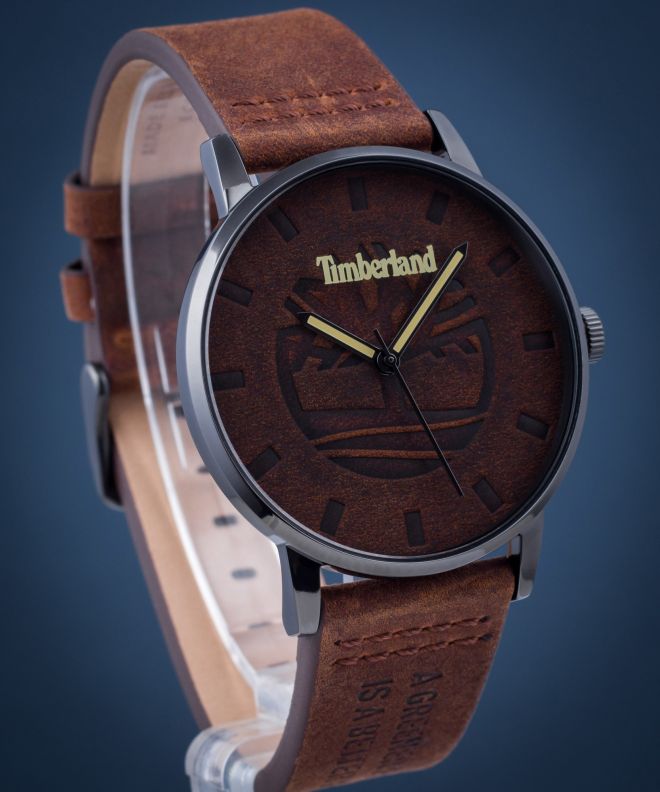 Pánské hodinky Timberland Raycroft TBL.TDWJA2000803