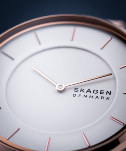 Dámské hodinky Skagen Signatur SKW2784