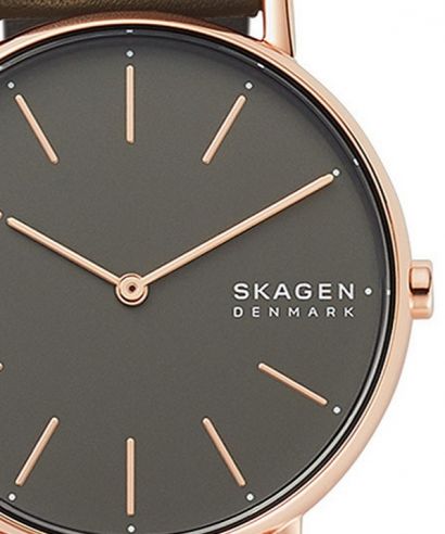 Dámské hodinky Skagen Signatur SKW2794