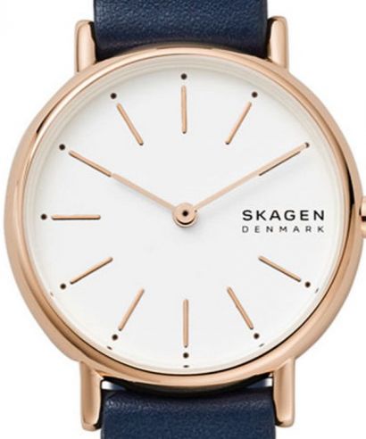 Dámské hodinky Skagen Signatur SKW2838