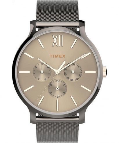 Dámské hodinky Timex Transcend TW2T74700