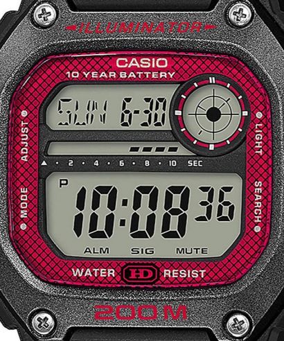 Pánské hodinky Casio Sport DW-291H-1BVEF