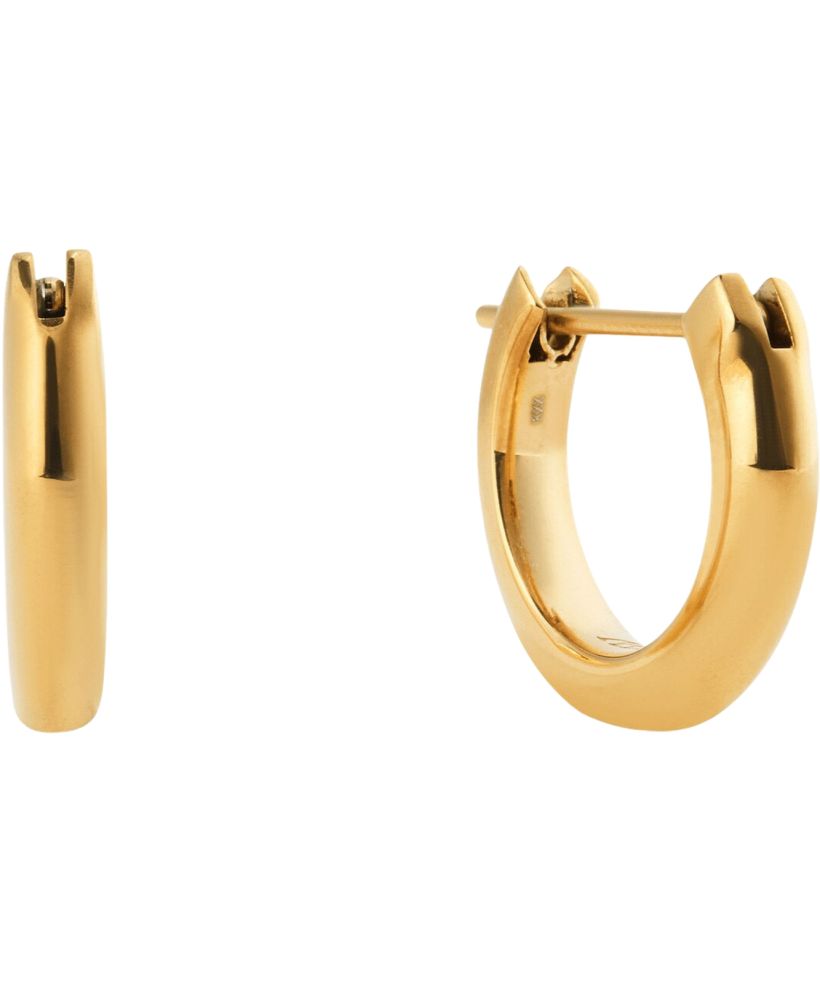 Náušnice Daniel Wellington Arch Gold