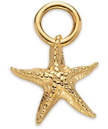 Náhrdelník Paul Hewitt Set Starfish Charm and Necklace Gold