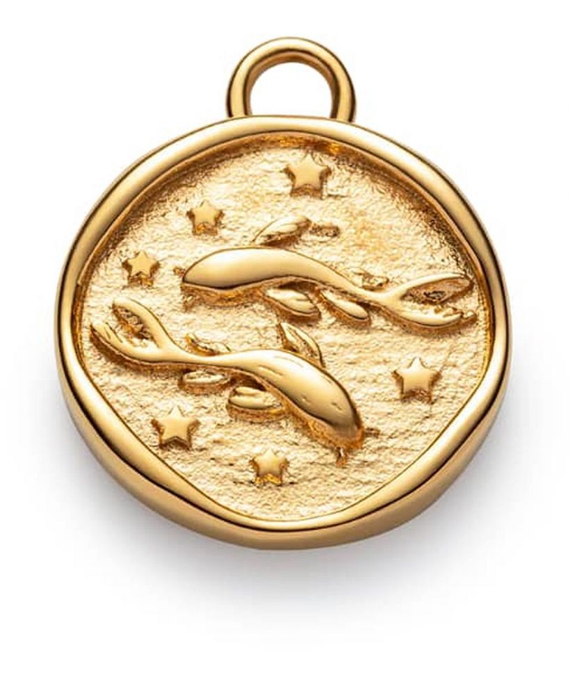 Přívěšek Paul Hewitt Pisces
