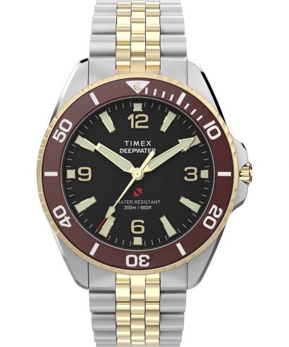 Hodinky pánské Timex Deep Water Arctic